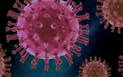 Nu het Coronavirus ons dagelijks leven ontregeld